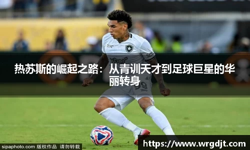 球速体育平台登录入口