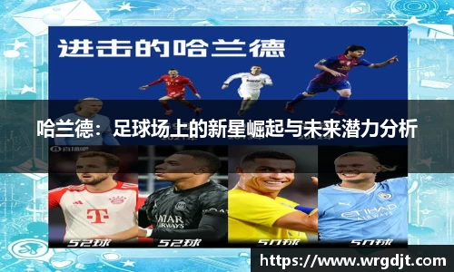 球速体育平台登录入口